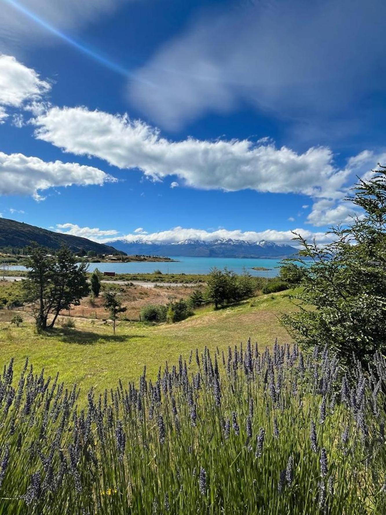 El Arrayan Villa Puerto Guadal Dış mekan fotoğraf